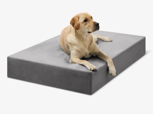 Big Barker Sleek orthopedic dog bed in charcoal gray