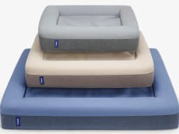 Casper dog bed with memory foam in gray