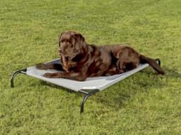 Coolaroo Original Elevated pet bed in grey