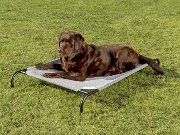 Coolaroo Original Elevated pet bed in grey
