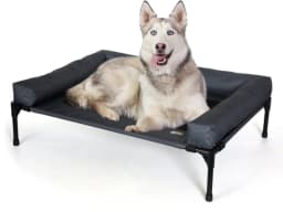 K&H Original Bolster Pet Cot elevated dog bed in charcoal