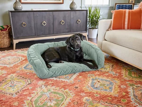 Orvis Memory Foam Bolster dog bed in brown tweed