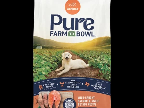 Canidae PURE Grain-Free Salmon and Sweet Potato dry dog food bag