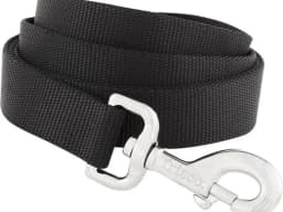 Frisco Solid Nylon dog leash in black