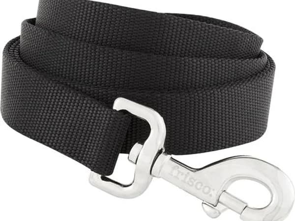 Frisco Solid Nylon dog leash in black