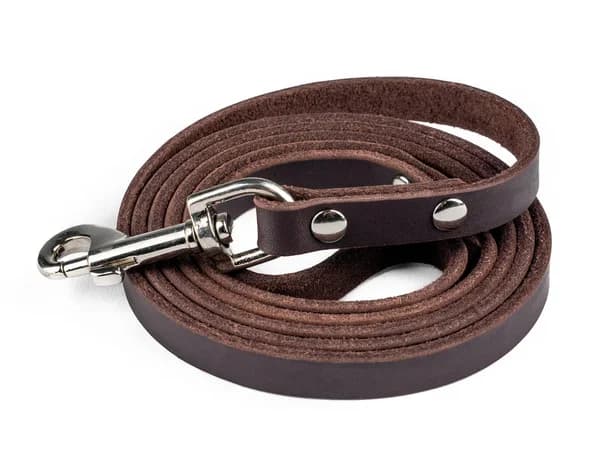 Mighty Paw leather dog leash in brown