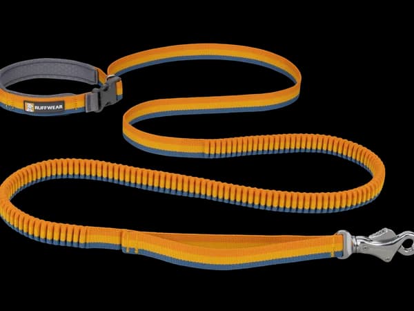 Ruffwear Roamer bungee dog leash in yellow
