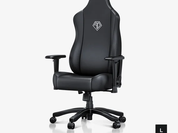 AndaSeat Novis gaming chair in Elegant Black