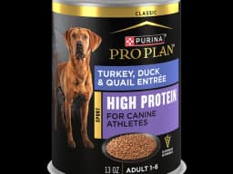 Royal Canin Small Adult wet dog food pouch